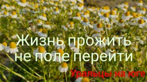 Из жизни станичников.Весны прекрасные моменты.