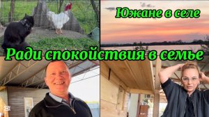 ❤️Не довольна бройлером/ Дождались и дорвались до работы/ Уж больно темпераментный