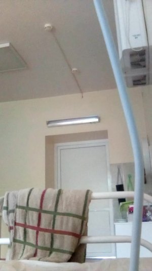 койка