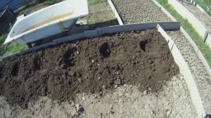 6 соток  Картошечка - второй хлеб
