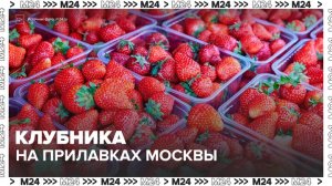 Клубника появилась на московских рынках и в магазинах - Москва 24