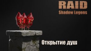Raid: Shadow Legends / открытие маленьких душ под X2