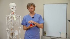 Как вылечить простатит
