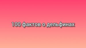 Сто фактов о дельфинах