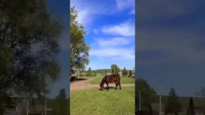 Детство - это мой причал 🙏❤👍   11-05-2026