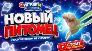 Новый питомец 😬