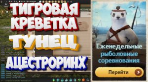 БДО. Тригровая креветка. Тунец. Ацестроринх. Рыболовные соревнования. 11-16.05 2026.