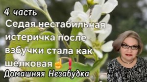 4 часть. Седая нестабильная истеричка после взбучки стала шёлковая☝️❗️