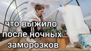 Что выжило после ночных заморозков/У Артёма обновки для бани/Моя покупка за 120р/
