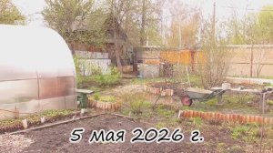 Дача. Начало мая 2026 г. Тюмень
