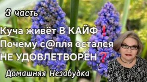 3 часть. Куча живёт в КАЙФ❗️Почему с@пля НЕ УДОВЛЕТВОРЁН❓️