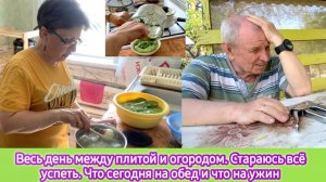 Весь день между плитой и огородом! Стараюсь всё успеть. Что сегодня на обед и что на ужин