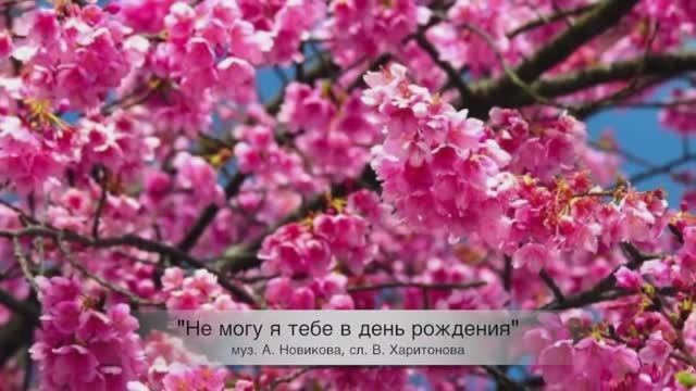 В день рождения. Поёт Валерий Сёмин