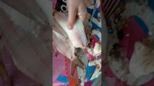 БЫСТРЫЙ СПОСОБ РАЗДЕЛКИ ЛЕЩА НА ФИЛЕ.