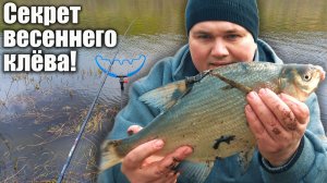 ЛЕЩ НА ФИДЕР ВЕСНОЙ НА РЕКЕ: тактика и главный секрет успешной ловли / Рыбалка 2026