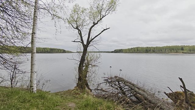 Уводьское вдхр. ч.6. Май 2026