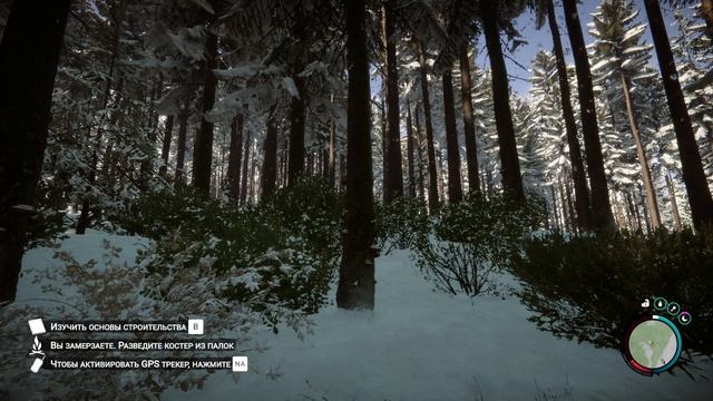 SonsOfTheForest 2026-05-10 15-50-05-266