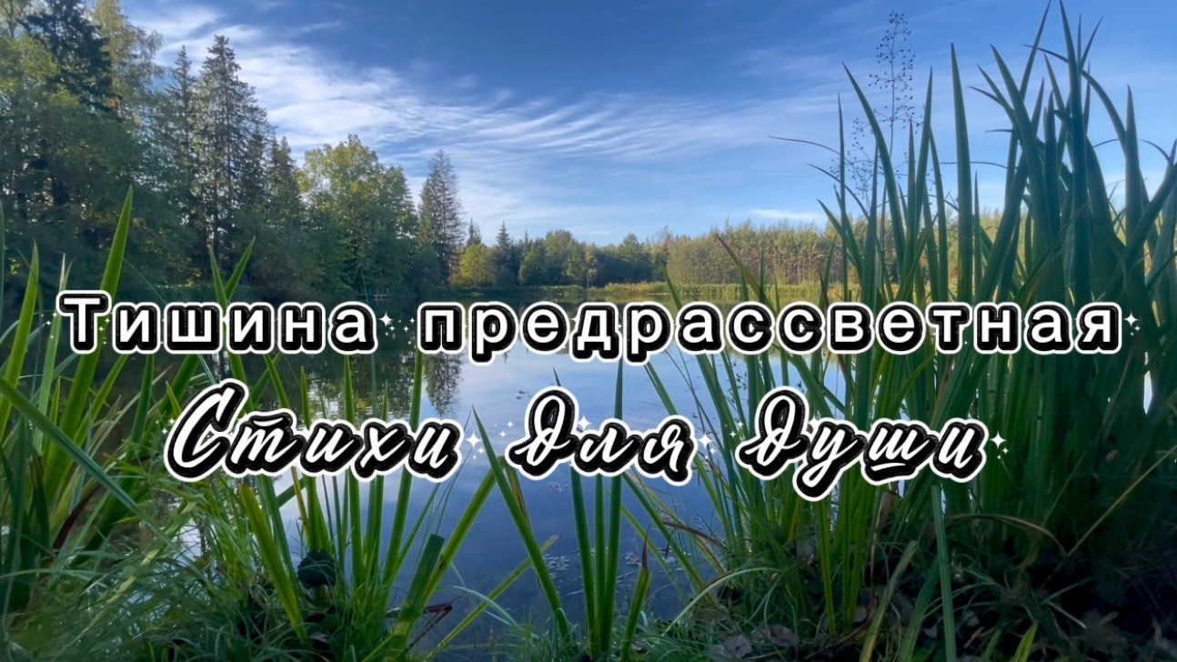 Тишина предрассветная хрупче стекла и слюды,  Яшка Казанова, читает Яна Малиновская, стихи для души