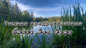 Тишина предрассветная хрупче стекла и слюды,  Яшка Казанова, читает Яна Малиновская, стихи для души