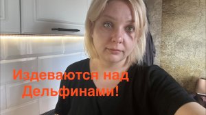Дельфины 🐬 Все отлично 👍 Чушь не надо писать в массы !