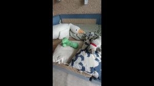 ДЭНИС И КРИПОНЯ СЕЗОН 1 СЕРИЯ 2