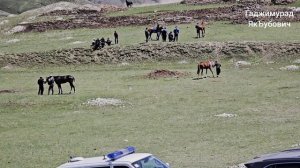 Скачки в с. Гагатли.На 13 кругов. 10.05.2026 год