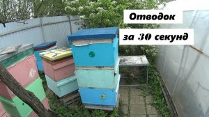 Формирование отводка за секунды.