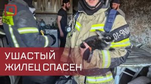 «Любая жизнь - бесценна»