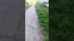 Стрим у меня сегодня день рождения