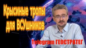 49. Крысиные тропы для ВСУшников