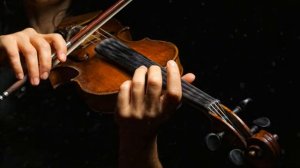 Extended Classical Inspired Baroque Majesty [get.gt]