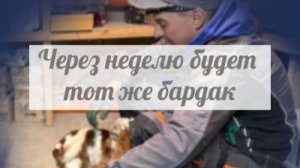 Сама же и опустила своего рукастого МУШШа