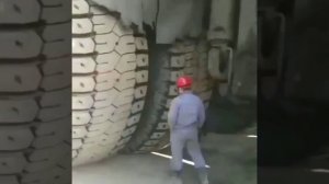 Слишком любознательный, чтобы рассуждать здраво