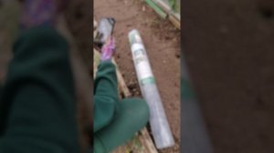 Отварная речная рыбка
Посадка огуицов
Рыбные котлетки
