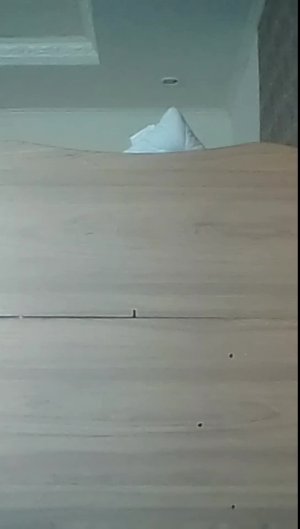 Я  астался один дома