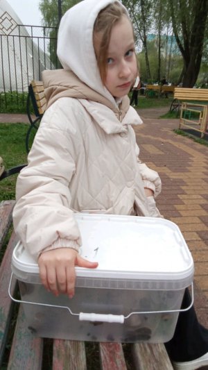 общение с хозяйкой улиток