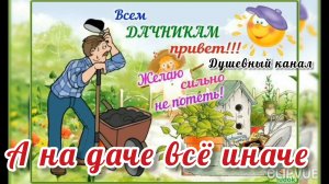 А НА ДАЧЕ ВСЁ ИНАЧЕ! ДАЧНИКИ, ДОБРОЕ УТРО☀ 🌝⏰