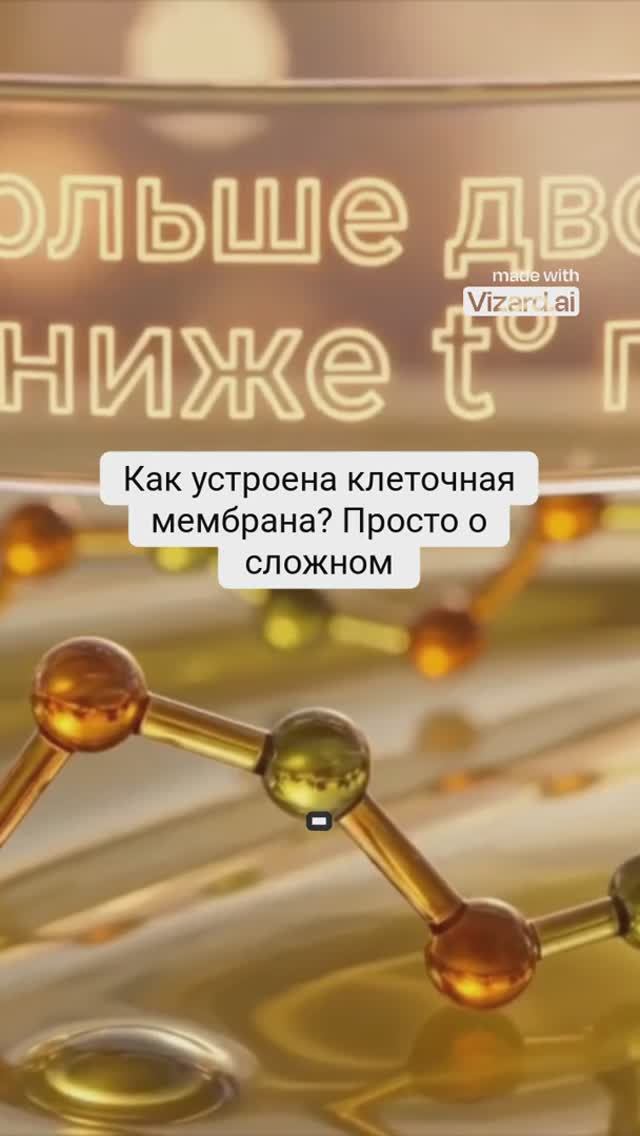 Как устроена клеточная мембрана? Просто о сложном
