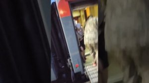 31847.mp4