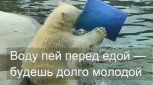 Бабушкин рецепт