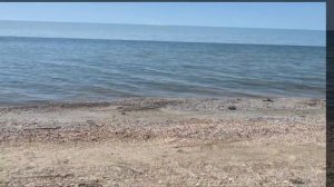 10.05.26 г. Море...Спасаем рассаду.Кто пугает 😊???