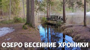 Хроники весеннего озера_2