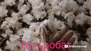 Тату робот. .mp4
