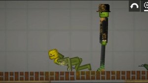 Утро мелон 1