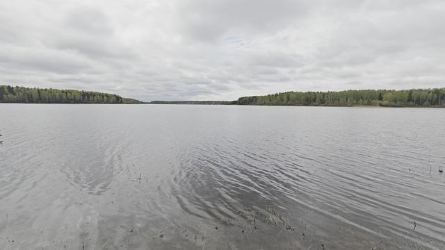 Уводьское вдхр. ч.4. Май 2026