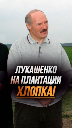 Лукашенко на огромном поле ХЛОПКА! // Официальный визит в Туркменистан #shorts