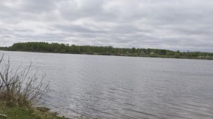 Уводьское вдхр. ч.3. Май 2026