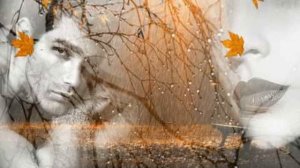 Билет домой. Автор стихов Станислав Ворона. Музыка и исполнение Николай Саллас