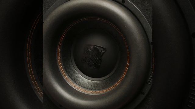 Распаковка активного сабвуфера DL Audio Gryphon Pro 12A смотреть онлайн