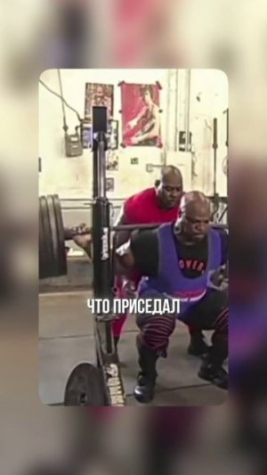 Сохрани свои колени